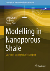 Modelling in Nanoporous Shale