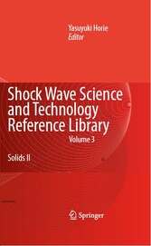 Shock Wave Science and Technology Reference Library, Vol. 3