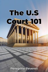 The U.S Court 101