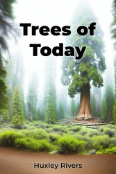 Trees of Today