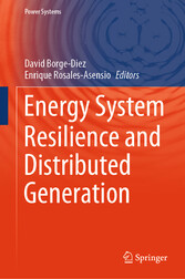 Energy System Resilience and Distributed Generation