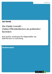 Die Fünfte Gewalt? - Online-Öffentlichkeiten als politisches Korrektiv