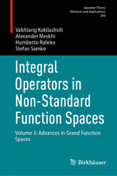 Integral Operators in Non-Standard Function Spaces