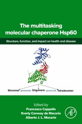 The multitasking molecular chaperone Hsp60