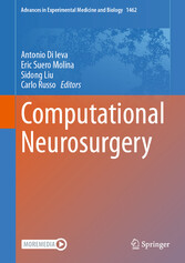 Computational Neurosurgery