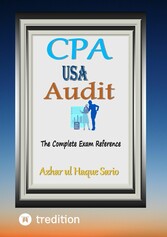 CPA USA Audit