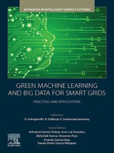 Green Machine Learning and Big Data for Smart Grids