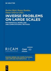 Inverse Problems on Large Scales