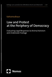 Law and Protest at the Periphery of Democracy