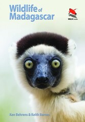 Wildlife of Madagascar