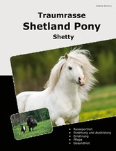 Traumrasse Shetland Pony