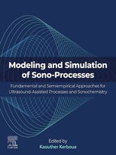 Modeling and Simulation of Sono-Processes