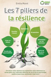 Les 7 piliers de la résilience: Entraînez votre résilience et augmentez votre résistance au stress grâce aux méthodes efficaces du zen et de la psychologie positive (exercices, workbook & test incl.)