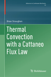 Thermal Convection with a Cattaneo Flux Law