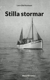 Stilla stormar