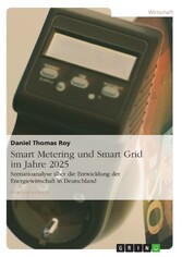 Smart Metering und Smart Grid im Jahre 2025