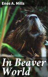 In Beaver World