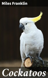 Cockatoos