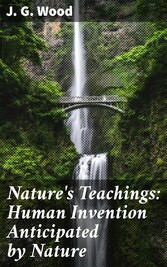 Nature's Teachings: Human Invention Anticipated by Nature