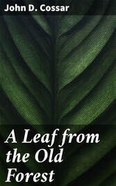 A Leaf from the Old Forest