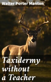 Taxidermy without a Teacher