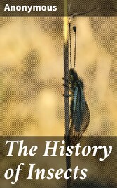 The History of Insects