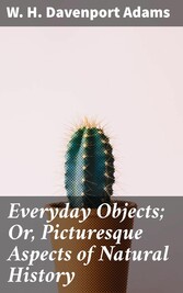 Everyday Objects; Or, Picturesque Aspects of Natural History