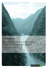 Der Drei-Schluchten-Staudamm: Fluch oder Segen des Jangtse