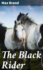 The Black Rider