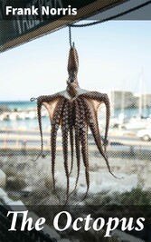 The Octopus