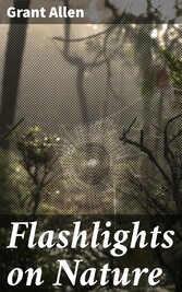 Flashlights on Nature