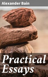 Practical Essays