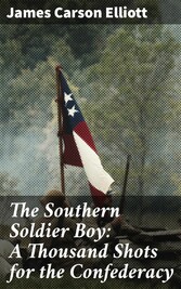 The Southern Soldier Boy: A Thousand Shots for the Confederacy