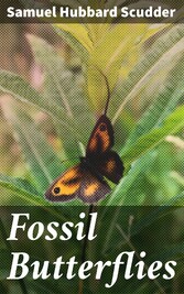 Fossil Butterflies