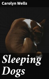 Sleeping Dogs