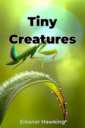 Tiny Creatures