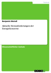 Aktuelle Herausforderungen der Energiekonzerne