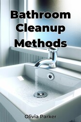 Bathroom Cleanup Methods