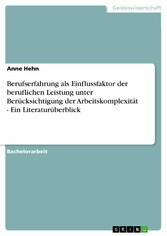 Berufserfahrung als Einflussfaktor der beruflichen Leistung unter Berücksichtigung der Arbeitskomplexität - Ein Literaturüberblick