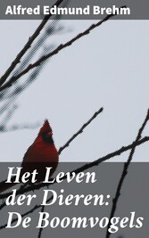 Het Leven der Dieren: De Boomvogels