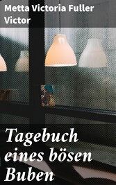 Tagebuch eines bösen Buben