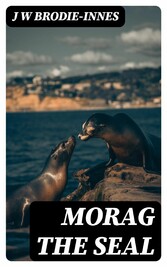 Morag the Seal