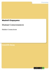 Human Consciousness