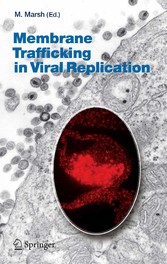 Membrane Trafficking in Viral Replication