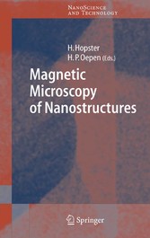 Magnetic Microscopy of Nanostructures