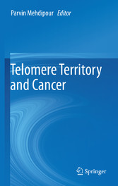 Telomere Territory and Cancer