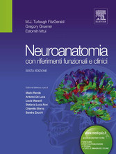 Neuroanatomia