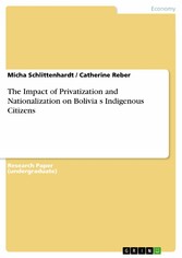 The Impact of Privatization and Nationalization on Bolivia?s Indigenous Citizens