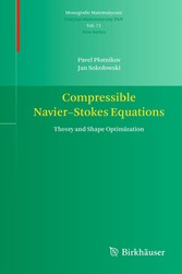 Compressible Navier-Stokes Equations