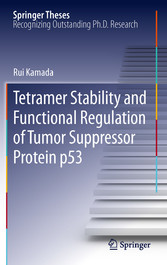 Tetramer Stability and Functional Regulation of Tumor Suppressor Protein p53